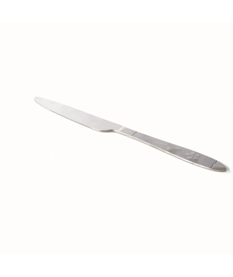 Cutit inox ambalat individual, 21.5 cm