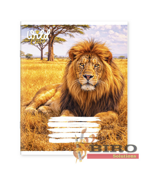 Caiet 48 foi linie 481083