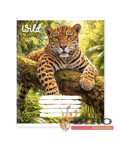 Caiet 48 foi linie 481083