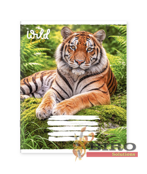 Caiet 48 foi linie 481083