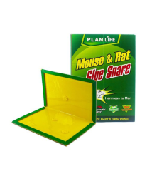 Placă lipici contra șoareci (mare) 8003/8006/XD-8093B/TD-999 / TG-3