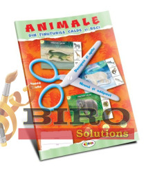 Animale din Ținuturile Calde și Reci (cu foi detașabile)