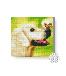 Mozaic cu diamante „Labrador și fluture”, 20 × 20 cm