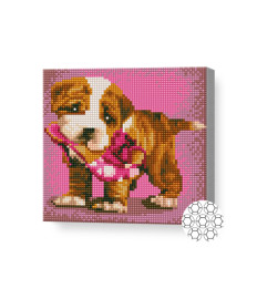 Mozaic cu diamante „Sharpei drăguț”, 20 × 20 cm, cristale rotunde