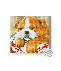 Mozaic cu diamante „Bulldog adormit”, 20 × 20 cm