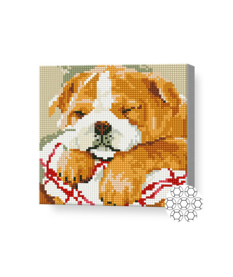 Mozaic cu diamante „Bulldog adormit”, 20 × 20 cm