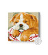 Mozaic cu diamante „Bulldog adormit”, 20 × 20 cm