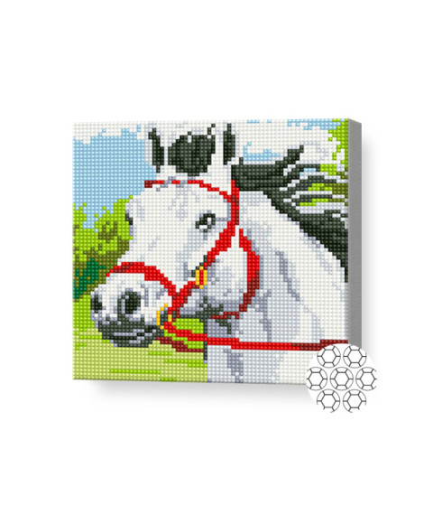 Mozaic cu diamante „Cal alb”, 20 × 20 cm