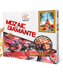 Mozaic cu diamante 40x50 cm Paris primăvara