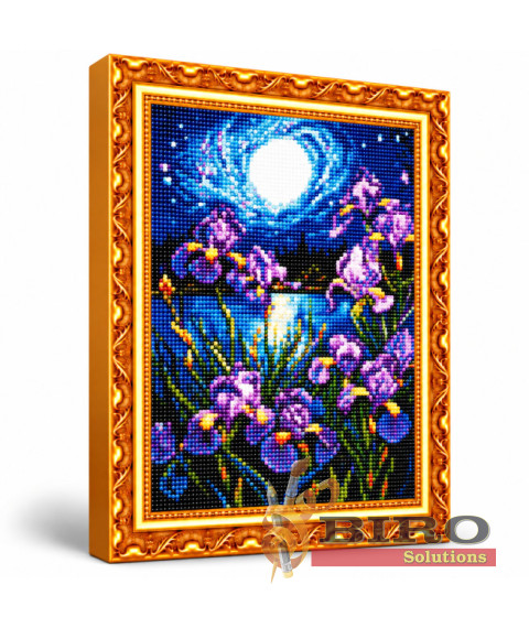 Mozaic cu diamante „Iriși la lună plină”, 40 × 50 cm