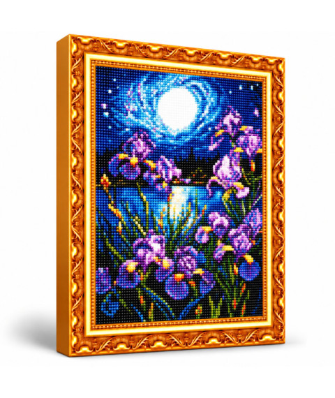 Mozaic cu diamante „Iriși la lună plină”, 40 × 50 cm