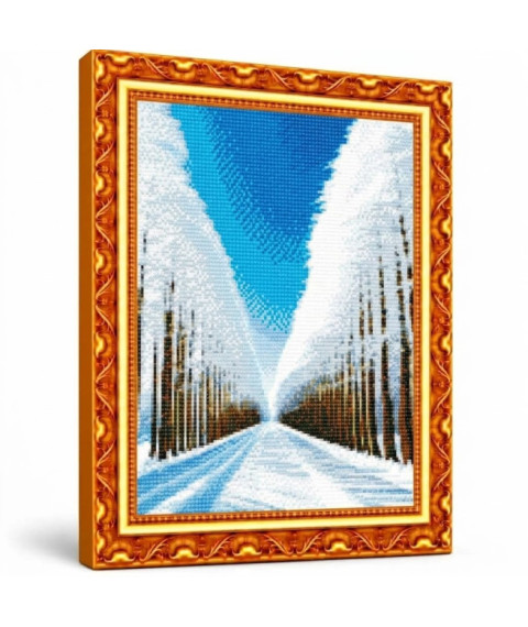 Mozaic cu diamante „Alee de copaci înzăpeziți”, 40 × 50 cm