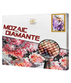 Mozaic cu diamante 40x50 cm Dans grațios