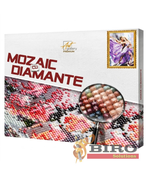 Mozaic cu diamante 40x50 cm Dans grațios