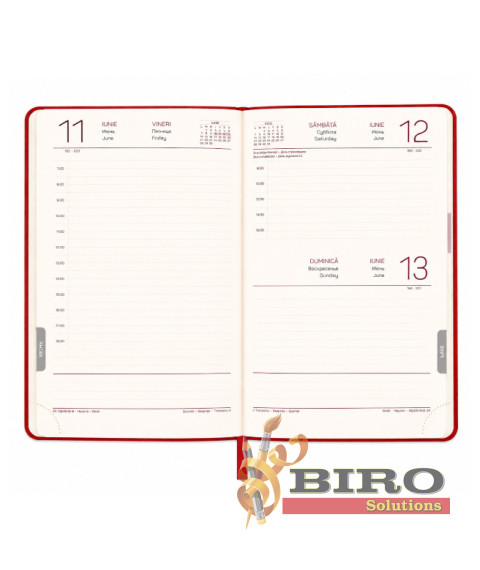 Agendă A5 2027 IDEE Standard „Cherry Red”