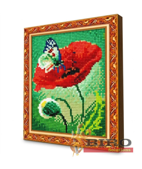 Mozaic cu diamante 20x30 cm Mac și fluture