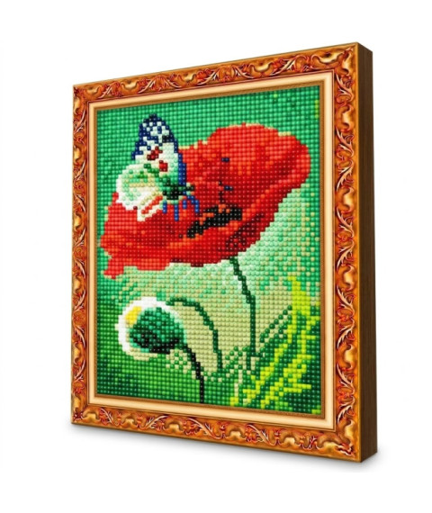 Mozaic cu diamante 20x30 cm Mac și fluture