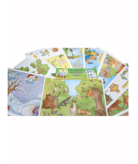 Planșe Floră, Faună și Ecologie (Material Didactic)