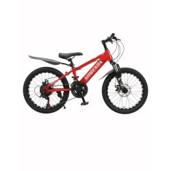 Bicicletă pentru copii 20 inch (6–8 ani)