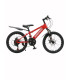 Bicicletă pentru copii SHWENDA 20 inch, roșu