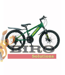 Bicicletă pentru copii SWENDA 20 inch, verde