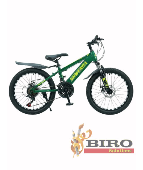 Bicicletă pentru copii SWENDA 20 inch, verde