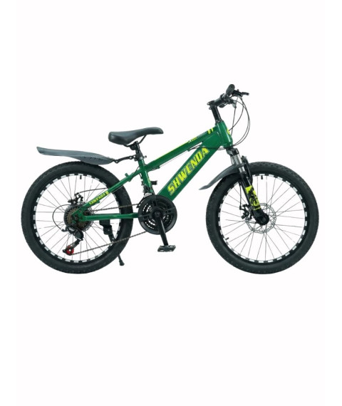 Bicicletă pentru copii SWENDA 20 inch, verde