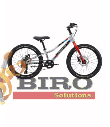 Bicicletă pentru copii Alvas MT 20 inch, argintiu