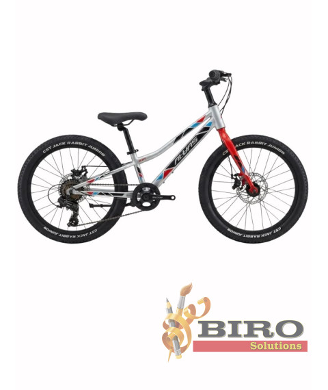 Bicicletă pentru copii Alvas MT 20 inch, argintiu