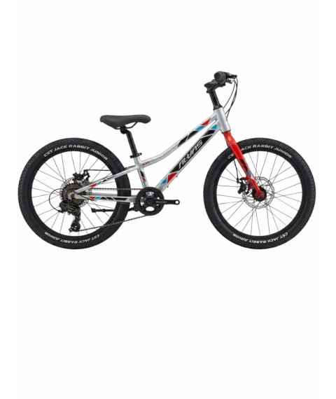 Bicicletă pentru copii Alvas MT 20 inch, argintiu
