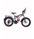Bicicletă pentru copii Morgan Crack 20 inch, gri/roșu