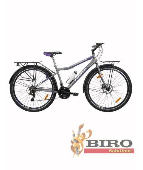 Bicicletă Arise MTB 22/24/26/29 inch, gri/violet