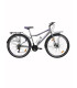 Bicicletă Arise MTB 22/24/26/29 inch, gri/violet