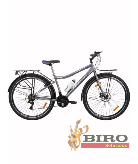 Bicicletă Arise MTB 22/24/26/29 inch, gri/violet