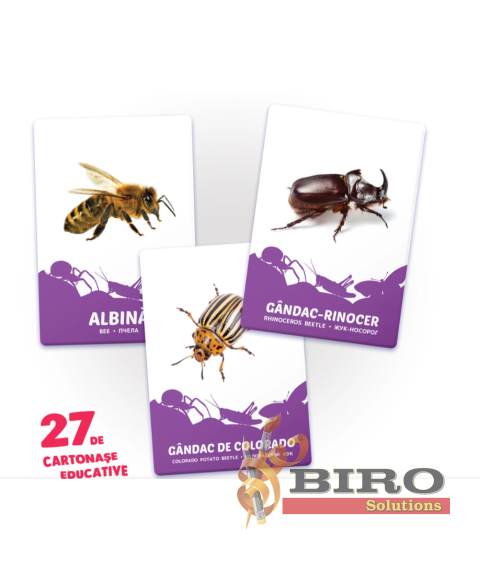 27 de cartonașe. Ființe mici