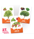 27 de cartonașe. Arbori și arbuști, frunze și fructe