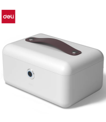 Safeu pentru bijuterii DELI DLAE200, 140×280×190 mm
