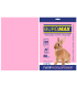 Hârtie color set 20 file pastelată A4 80 g, roz