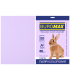 Hârtie color set 20 file pastelată A4 80 g, lavandă