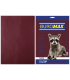 Hârtie color A4 DARK maro, 20 file, 80 g/m²