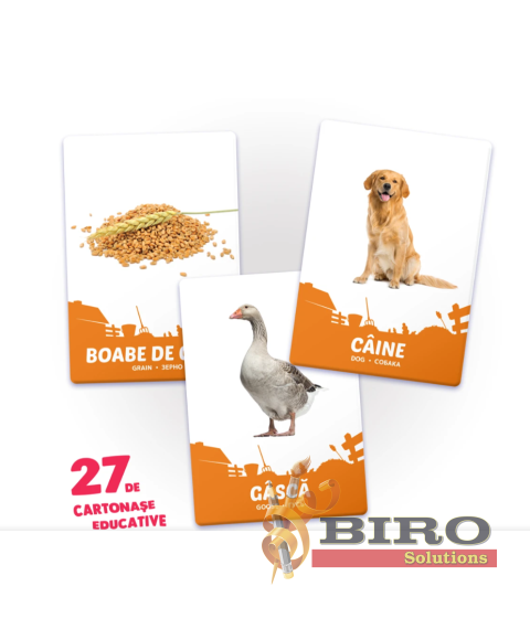 27 de cartonașe. Animale domestice și hrana lor