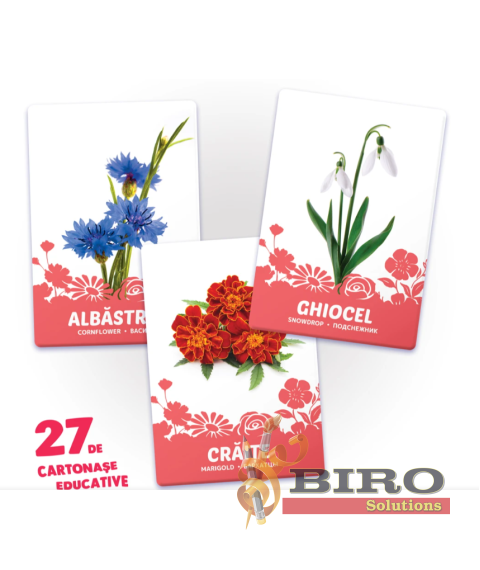 27 de cartonașe. Flori