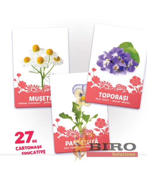 27 de cartonașe. Flori