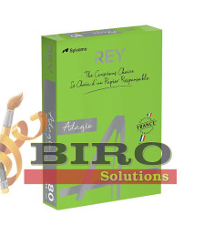 Hârtie colorată A4, 80 g/m², 500 foi, Adagio INTENSE 52