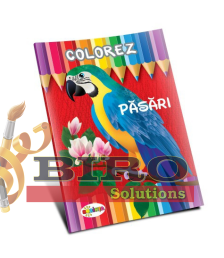 Colorez. Păsări