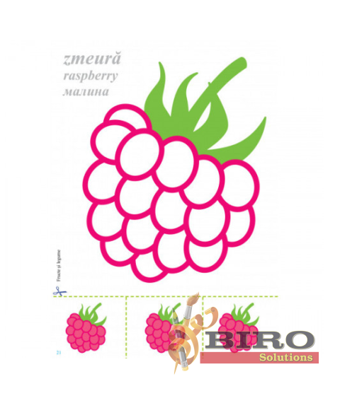 Fructe și Legume (cu foi detașabile)