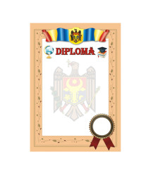 Diploma de onoare N19 (stema, drapel, rama bej)