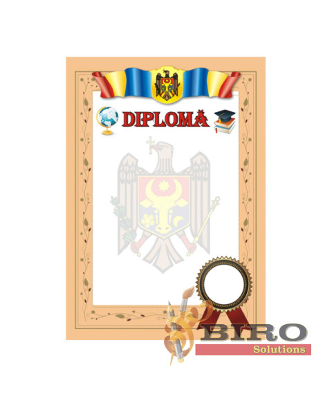 Diploma de onoare N19 (stema, drapel, rama bej)