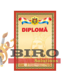 Diploma de onoare N39 (stema, drapel, Stefan cel Mare)
