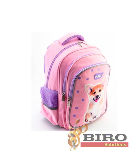 Ghiozdan ortopedic 15 Roz (38x27x18см) MX86249